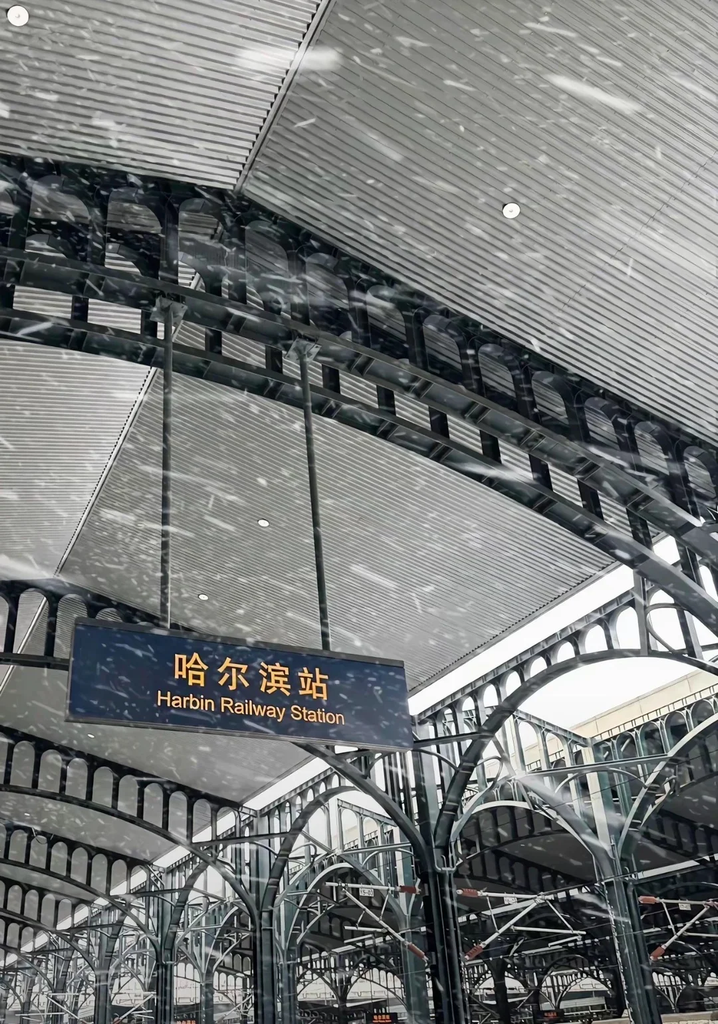 Harbin to China Snow Town Bullet Train Station